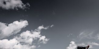 pomysł na biznes na wsi