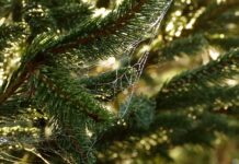 Co to jest potrzeba w marketingu? Co to jest potrzeba w marketingu?