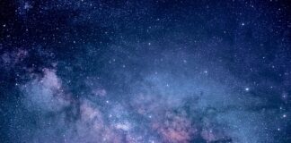 Jakie znaczenie dla badań i nauki ma tradycja?