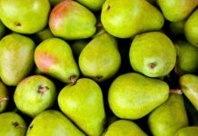 Jak zrobić stoisko na targach? Jak zrobić stoisko na targach?