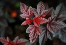 Po co są ulotki? Po co są ulotki?