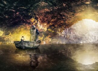 Czym się różni przewoźnik od kuriera?