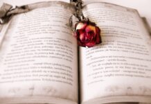 Ile stron powinien mieć rozdział badawczy?