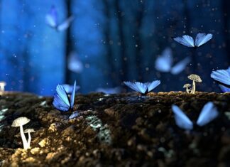 Jak wymyślić bajkę dla dzieci?