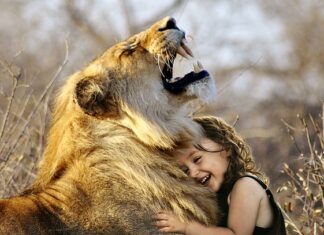 Jakie badania do gry w piłkę nożną?