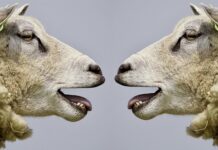 Co to jest dyskusja okrągłego stołu?