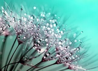 Jak oblicza się makro?