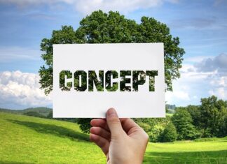 Jakie są metody pracy w przedszkolu?