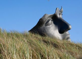 Jak uspokoić stany lękowe?