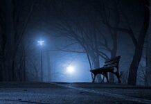 Co Polska importuje i skąd? Co Polska importuje i skąd?