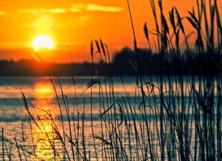 Co to jest instrument marketingowy?