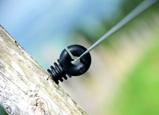 Kto z Polaków ma najwięcej na insta?