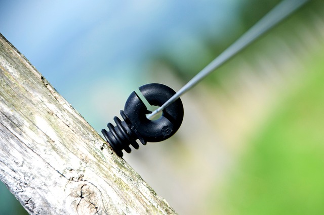 Kto z Polaków ma najwięcej na insta? Kto z Polaków ma najwięcej na insta?