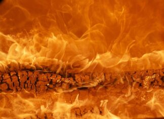 Jak zbudować markę osobistą?