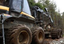 Co po technik spedytor? Co po technik spedytor?